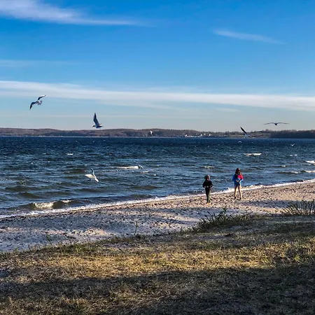 Sailing Schausende